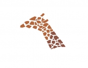 Projekt graficzny, nazwa firmy, tworzenie logo firm Logo - 4 Żyrafy - spedycja  - kamk