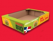 Projekt graficzny, nazwa firmy, tworzenie logo firm Kartonowa skrzynka na Avocado - Johan