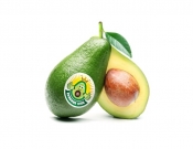 Projekt graficzny, nazwa firmy, tworzenie logo firm Logo na Brand Avocado Dystrybucja - JEDNOSTKA  KREATYWNA