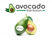 Projekt graficzny, nazwa firmy, tworzenie logo firm Logo na Brand Avocado Dystrybucja - NagelfarArt