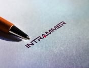 Projekt graficzny, nazwa firmy, tworzenie logo firm logo Intrammer - feim