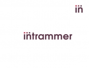 Projekt graficzny, nazwa firmy, tworzenie logo firm logo Intrammer - stone