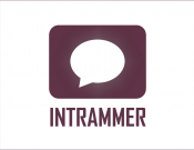 Projekt graficzny, nazwa firmy, tworzenie logo firm logo Intrammer - Margareta