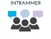 Projekt graficzny, nazwa firmy, tworzenie logo firm logo Intrammer - TEDD