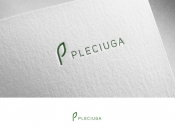 Projekt graficzny, nazwa firmy, tworzenie logo firm Pleciuga szuka swojego logo - matuta1