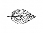 Projekt graficzny, nazwa firmy, tworzenie logo firm Pleciuga szuka swojego logo - Grajek1981
