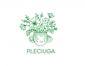 Projekt graficzny, nazwa firmy, tworzenie logo firm Pleciuga szuka swojego logo - BigBang