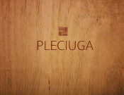 Projekt graficzny, nazwa firmy, tworzenie logo firm Pleciuga szuka swojego logo - Konwer