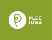 Projekt graficzny, nazwa firmy, tworzenie logo firm Pleciuga szuka swojego logo - tshayneek