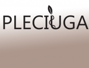 Projekt graficzny, nazwa firmy, tworzenie logo firm Pleciuga szuka swojego logo - zuzaar