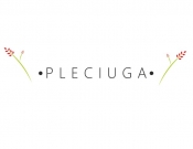 Projekt graficzny, nazwa firmy, tworzenie logo firm Pleciuga szuka swojego logo - karo.zet
