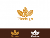Projekt graficzny, nazwa firmy, tworzenie logo firm Pleciuga szuka swojego logo - Magi
