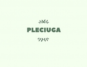 Projekt graficzny, nazwa firmy, tworzenie logo firm Pleciuga szuka swojego logo - TEDD