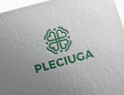 Projekt graficzny, nazwa firmy, tworzenie logo firm Pleciuga szuka swojego logo - stone