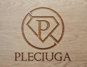 Projekt graficzny, nazwa firmy, tworzenie logo firm Pleciuga szuka swojego logo - DarvinArt