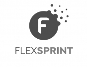 Projekt graficzny, nazwa firmy, tworzenie logo firm logo - FLEXSPRINT - Odzież sportowa - Grajek1981