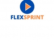 Projekt graficzny, nazwa firmy, tworzenie logo firm logo - FLEXSPRINT - Odzież sportowa - TEDD