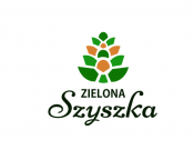 Projekt graficzny, nazwa firmy, tworzenie logo firm Logo ZIELONA SZYSZKA - Lonerei