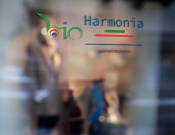 Projekt graficzny, nazwa firmy, tworzenie logo firm BioHarmonia gabinet rezonansu - Tess