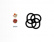 Projekt graficzny, nazwa firmy, tworzenie logo firm logotyp dla firmy FASING Siberia  - tshayneek