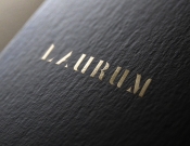 Projekt graficzny, nazwa firmy, tworzenie logo firm Nowe logo dla Wydawnictwa Laurum - Blanker