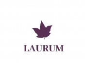 Projekt graficzny, nazwa firmy, tworzenie logo firm Nowe logo dla Wydawnictwa Laurum - TEDD