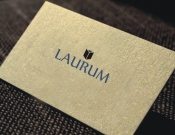 Projekt graficzny, nazwa firmy, tworzenie logo firm Nowe logo dla Wydawnictwa Laurum - termi1970