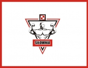 Projekt graficzny, nazwa firmy, tworzenie logo firm Logo  Siłowni Domowej - Drawmen