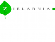 Projekt graficzny, nazwa firmy, tworzenie logo firm Zielarnia - TEDD