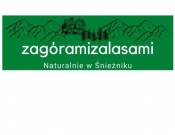 Projekt graficzny, nazwa firmy, tworzenie logo firm zagóramizalasami.pl - TEDD