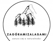 Projekt graficzny, nazwa firmy, tworzenie logo firm zagóramizalasami.pl - TEDD