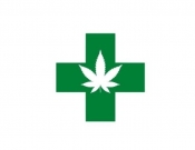 Projekt graficzny, nazwa firmy, tworzenie logo firm Logo - branża medyczna - TEDD