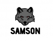 Projekt graficzny, nazwa firmy, tworzenie logo firm ochrona Samson Security - TEDD