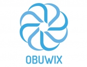 Projekt graficzny, nazwa firmy, tworzenie logo firm Obuwix - akcesoria i obuwie - Wojo