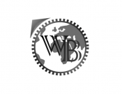 Projekt graficzny, nazwa firmy, tworzenie logo firm Worldsboy - "brand not for females" - Menizus
