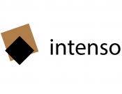 Projekt graficzny, nazwa firmy, tworzenie logo firm Nowe logo dla firmy Intenso - Raptorr