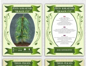 Konkursy graficzne na Etykieta do roślin