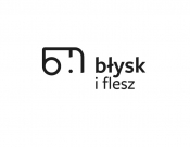 Projekt graficzny, nazwa firmy, tworzenie logo firm Logo Błysk i Flesz  - Nka91