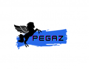 Projekt graficzny, nazwa firmy, tworzenie logo firm logo Klubu "Pegaz" - AgnieszkaKa16