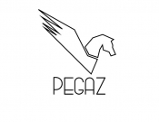 Projekt graficzny, nazwa firmy, tworzenie logo firm logo Klubu "Pegaz" - JR51