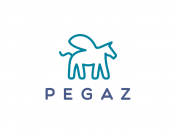 Projekt graficzny, nazwa firmy, tworzenie logo firm logo Klubu "Pegaz" - michalp