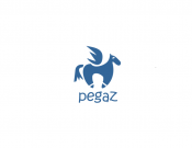 Projekt graficzny, nazwa firmy, tworzenie logo firm logo Klubu "Pegaz" - jaczyk