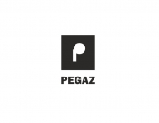 Projekt graficzny, nazwa firmy, tworzenie logo firm logo Klubu "Pegaz" - PąCZEK Portfolio