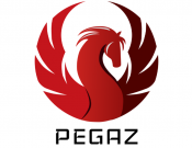 Projekt graficzny, nazwa firmy, tworzenie logo firm logo Klubu "Pegaz" - WhiteCzekolad