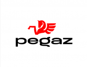 Projekt graficzny, nazwa firmy, tworzenie logo firm logo Klubu "Pegaz" - wlodkazik