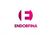 Projekt graficzny, nazwa firmy, tworzenie logo firm Logotyp dla Wydawnictwa Endorfina - WhiteRabbit99