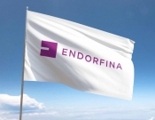 Projekt graficzny, nazwa firmy, tworzenie logo firm Logotyp dla Wydawnictwa Endorfina - ManyWaysKr