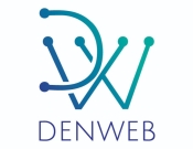 Projekt graficzny, nazwa firmy, tworzenie logo firm Logo dla firmy z branży IT - denweb - Amigita99
