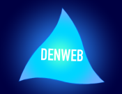 Projekt graficzny, nazwa firmy, tworzenie logo firm Logo dla firmy z branży IT - denweb - nataszaraisa
