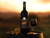 Projekt graficzny, nazwa firmy, tworzenie logo firm Etykieta na butelkę wina - kati16